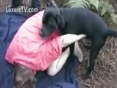 Outdoor Dog Pleasure
